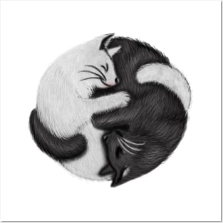 Yin Yang Cats Cat Lover Kitten Chinese Graphic Posters and Art